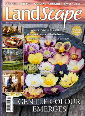 Cover of Landscape (UK)