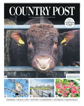 Cover of Country Week