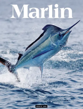 Cover of Marlin