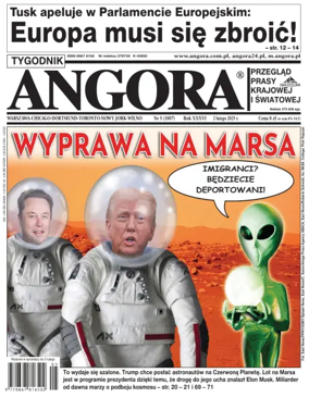 Cover of Angora