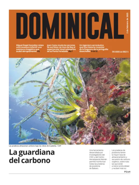 Cover of Dominical