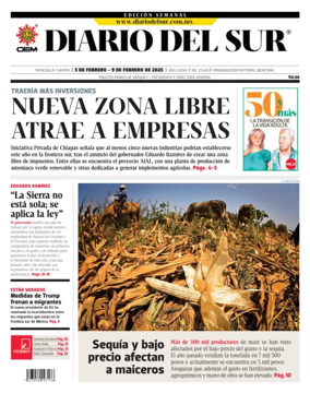 Cover of Diario del Sur