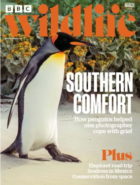 Cover of BBC Wildlife Magazine