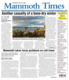 Cover of Mammoth Times