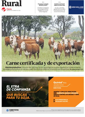 Cover of Rural