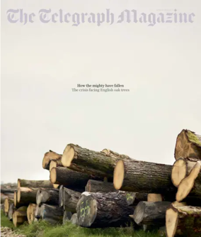 Cover of Telegraph Magazine