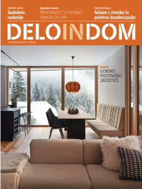Cover of Delo in Dom