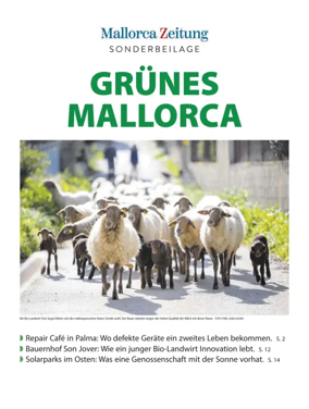 Cover of Suplemento 1