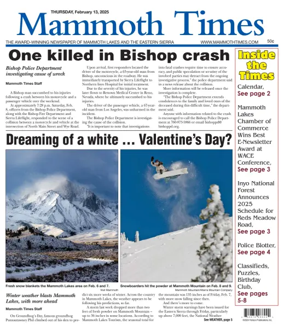 Cover of Mammoth Times