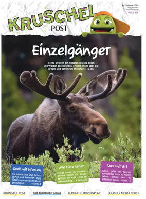 Cover of Kruschelpost