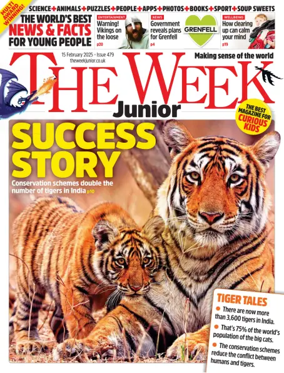 Cover of The Week - Junior