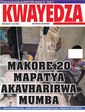 Cover of Kwayedza