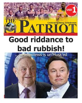 Cover of The Patriot