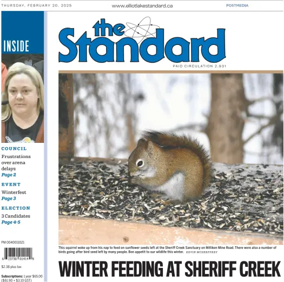 Cover of The Standard (Elliot Lake)
