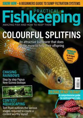 Cover of Practical Fishkeeping