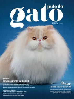Cover of Pulo do gato