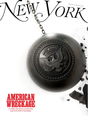 Cover of New York Magazine