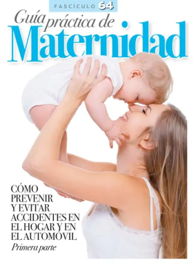 Cover of Guia Practica de Maternidad