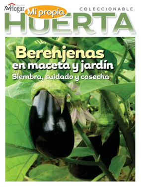 Cover of Huerta en casa