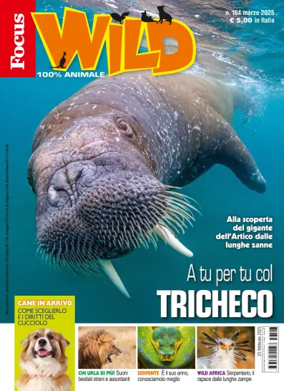 Cover of Focus Wild