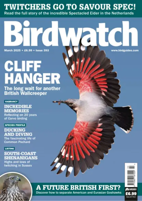 Cover of Birdwatch