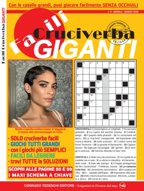 Cover of Facili Cruciverba Maxi