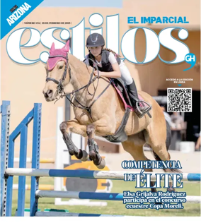Cover of Estilos GH