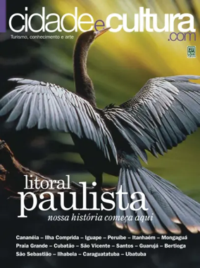 Cover of Cidade e Cultura