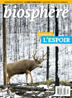 Cover of Biosphere
