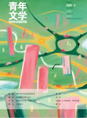 Cover of Youth Literature