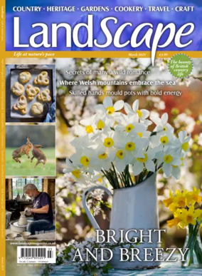 Cover of Landscape (UK)
