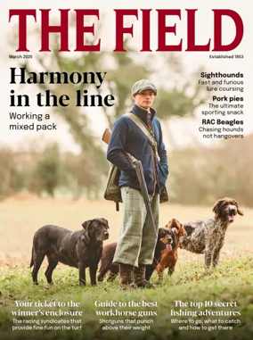 Cover of The Field