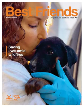 Cover of Best Friends