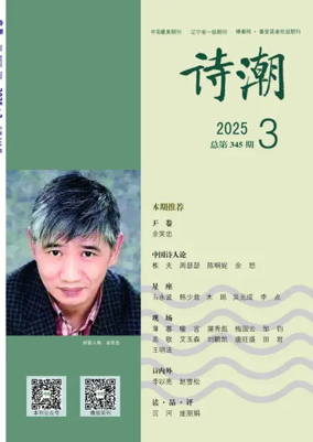 Cover of The Poetic Tide