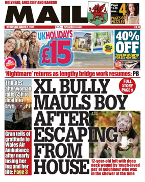 Cover of Bangor Mail