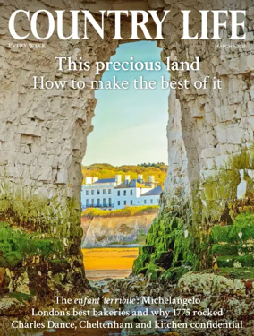 Cover of Country Life