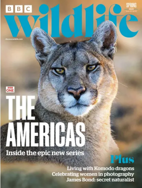 Cover of BBC Wildlife Magazine