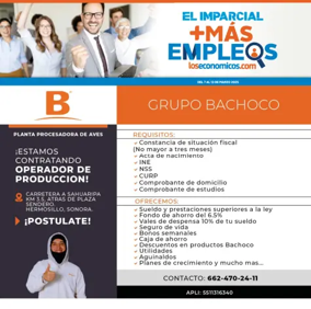 Cover of Mas Empleos