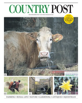 Cover of Country Week