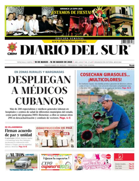 Cover of Diario del Sur