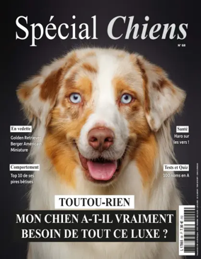 Cover of Special Chiens