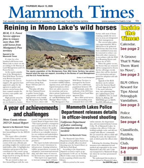 Cover of Mammoth Times