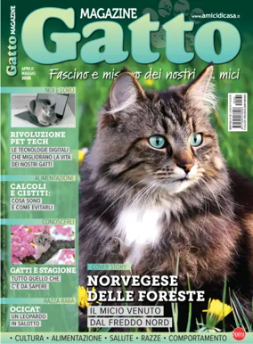 Cover of Gatto Magazine