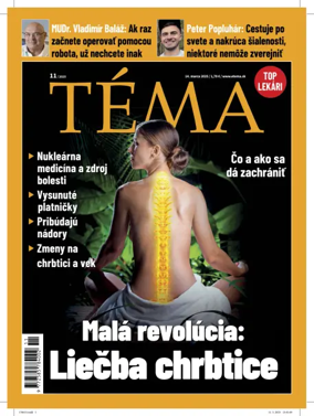 Cover of Téma