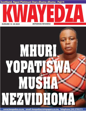 Cover of Kwayedza