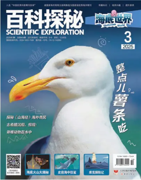 Cover of Scientific Exploration (Undersea World)