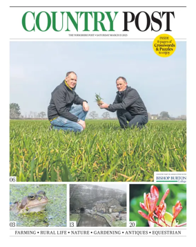 Cover of Country Week