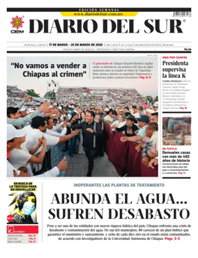 Cover of Diario del Sur