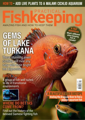 Cover of Practical Fishkeeping