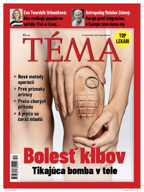 Cover of Téma